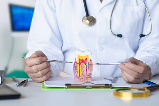 Best Pediatric Emergency Dentist in Kelly Ridge, CA